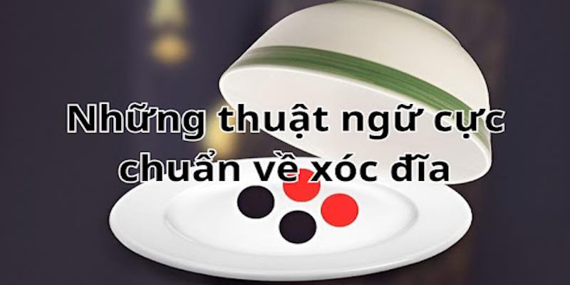 Hội viên cần nắm rõ thuật ngữ trước khi tham gia